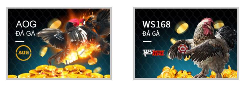 da ga hi88